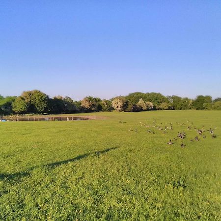 Castletownmoor Clinic & Permaculture Farm Hotel Kells  Buitenkant foto