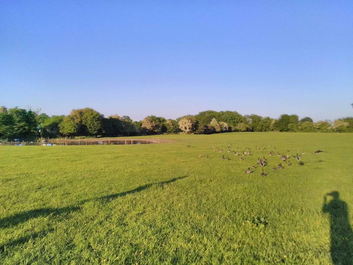 Castletownmoor Clinic & Permaculture Farm Hotel Kells  Buitenkant foto